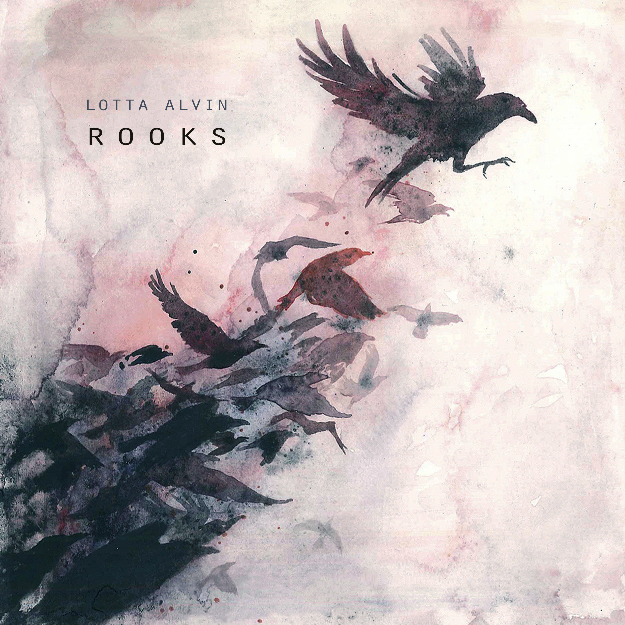 Rooks